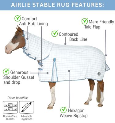 Airlie Rug feature diagram